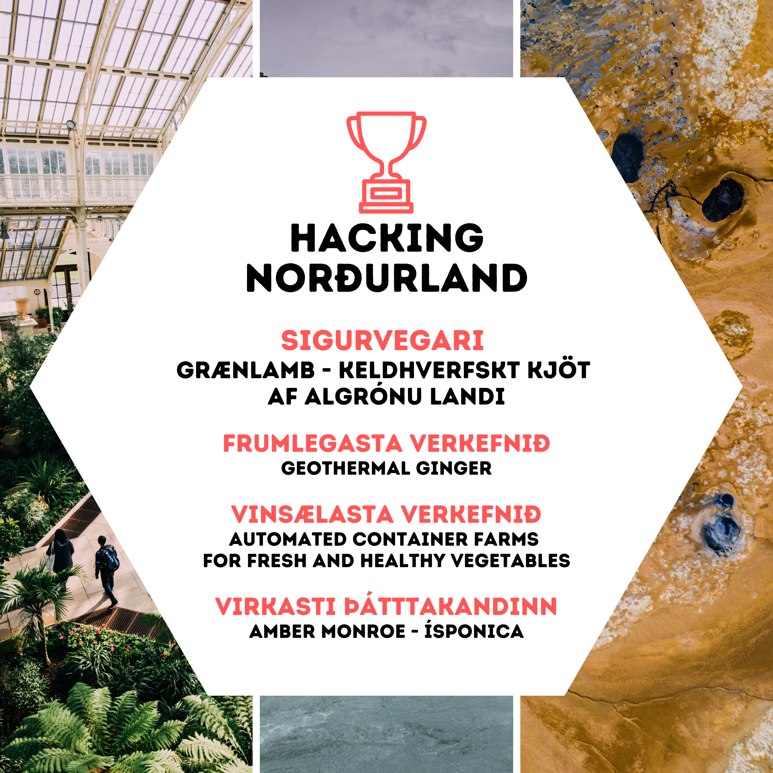 vinningshafar Hacking Norðurland 