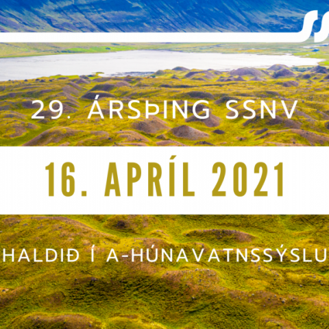 29. ársþing SSNV