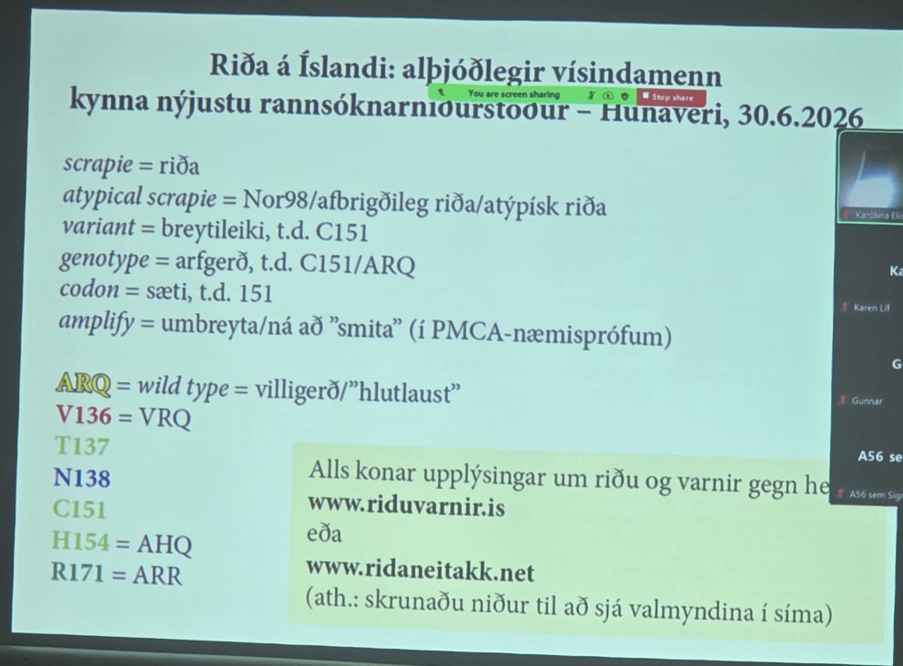 Vel sóttur riðufundur í Húnaveri