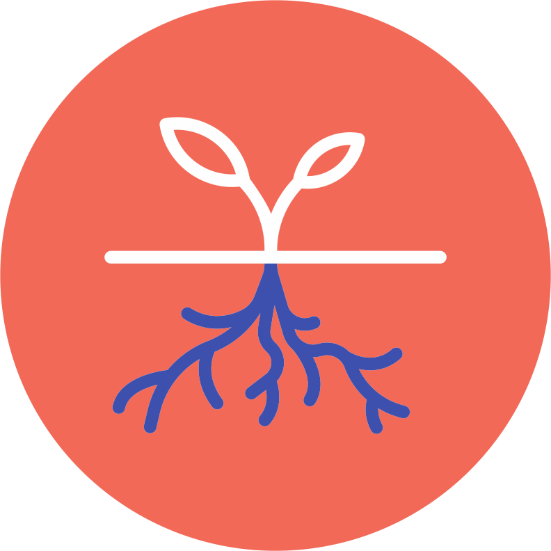 Vel heppnaðir Hæfnihringir á netinu