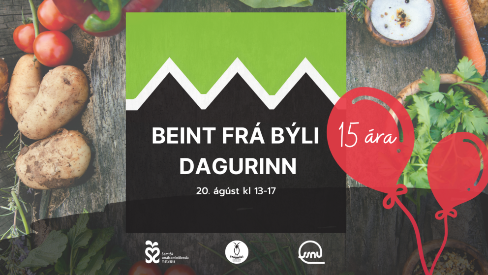 Afmælishátíð Beint frá býli á Stórhóli 20. ágúst