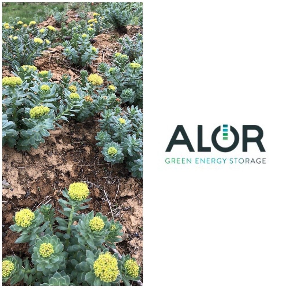 Tvö verkefni á Norðurlandi vestra hlutu styrk úr Tækniþróunarsjóði