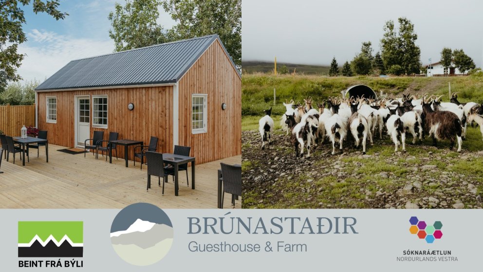 Brúnastaðir í Fljótum bjóða heim í tilefni af Beint frá býli deginum.