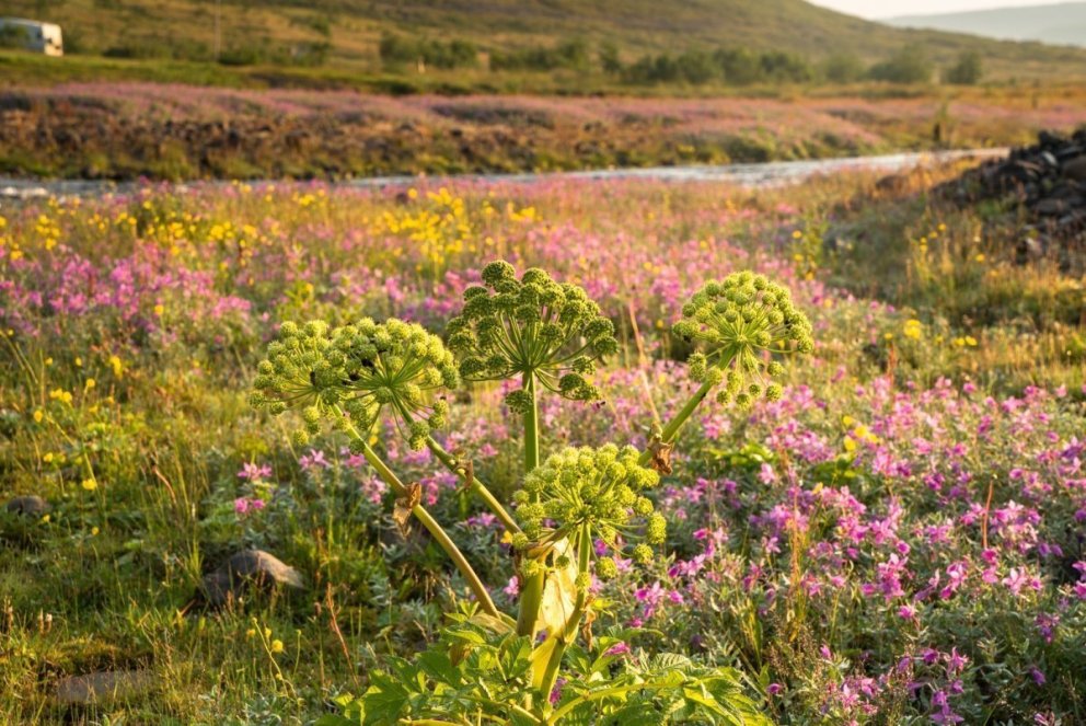 Leiðtogafærni í eigin lífi - námskeið á vegum Leiða til Byggðafestu