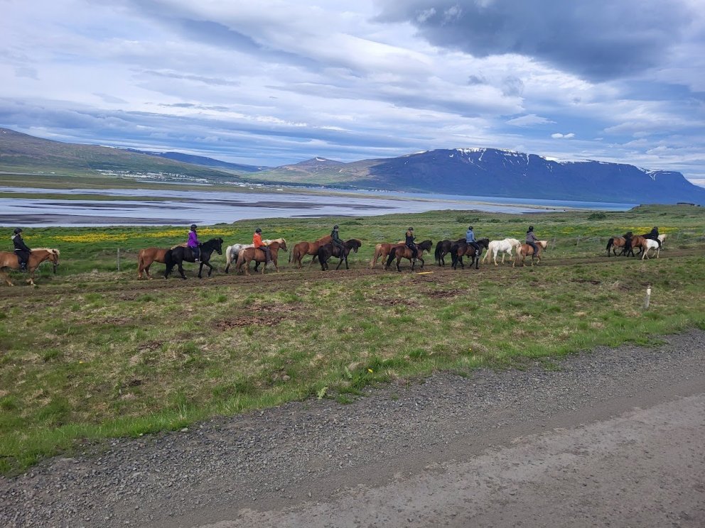 Óskað eftir tilnefningum til landbúnaðarverðlauna 2025