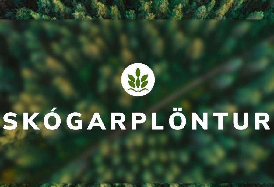Kynningarmyndbönd um verkefni styrkt af uppbyggingasjóði sóknaráætlunar Norðurlands vestra: SKÓGARPL…