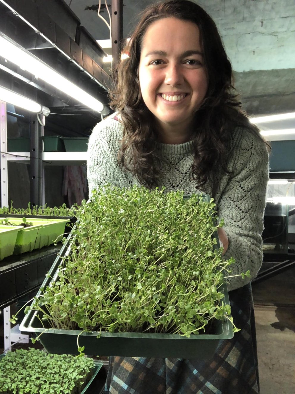 Amber Monroe í gamla húsnæði Ísponica á Hólum með grænsprettur.