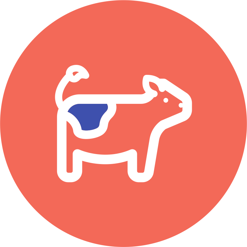 Umsögn um frumvarp til laga um búvöru- og búnaðarlög