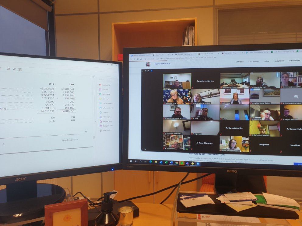 Vel heppnað þing á netinu