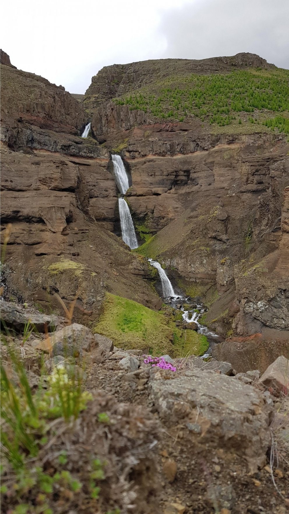 Prufuhnitsetning fór fram á hinni fallegu gönguleið við Bólugil  (mynd: Hrefna Jóhannesdóttir)