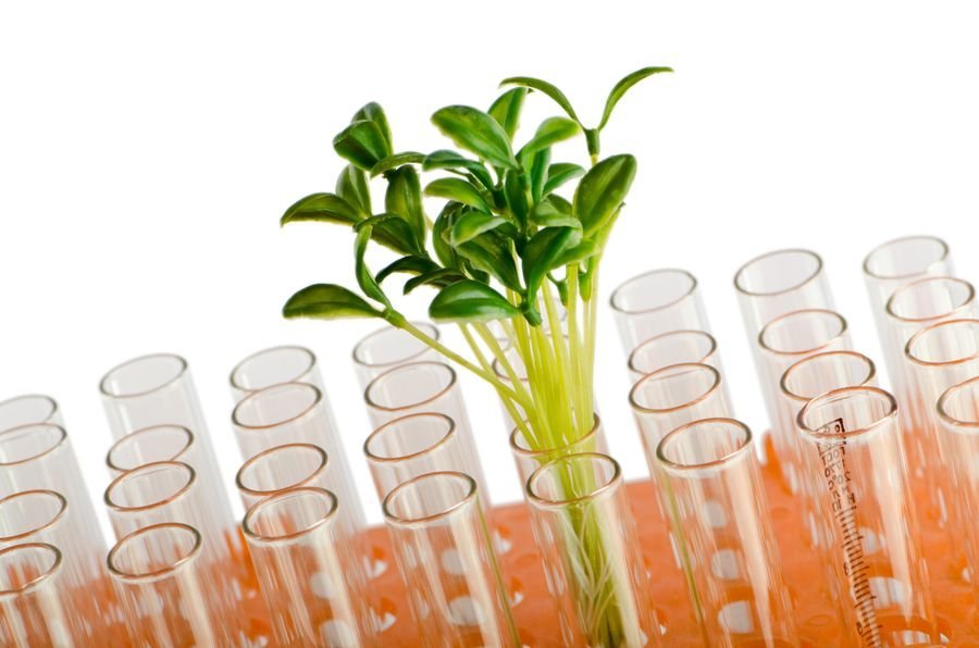 Styrkir úr Innviðasjóði Rannís á Norðurlandi vestra