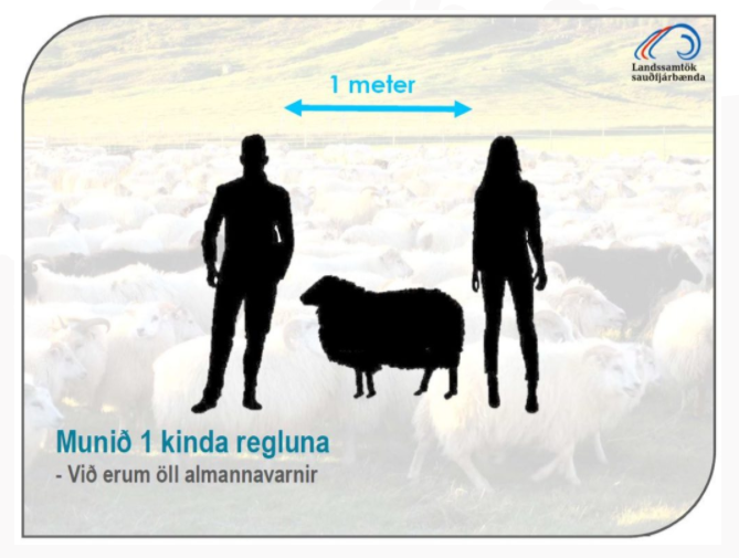 Uppfærðar reglur varðandi göngur og réttir