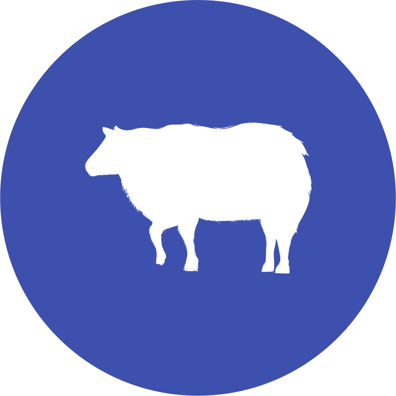 Bókun stjórnar SSNV um stöðu sauðfjárræktar