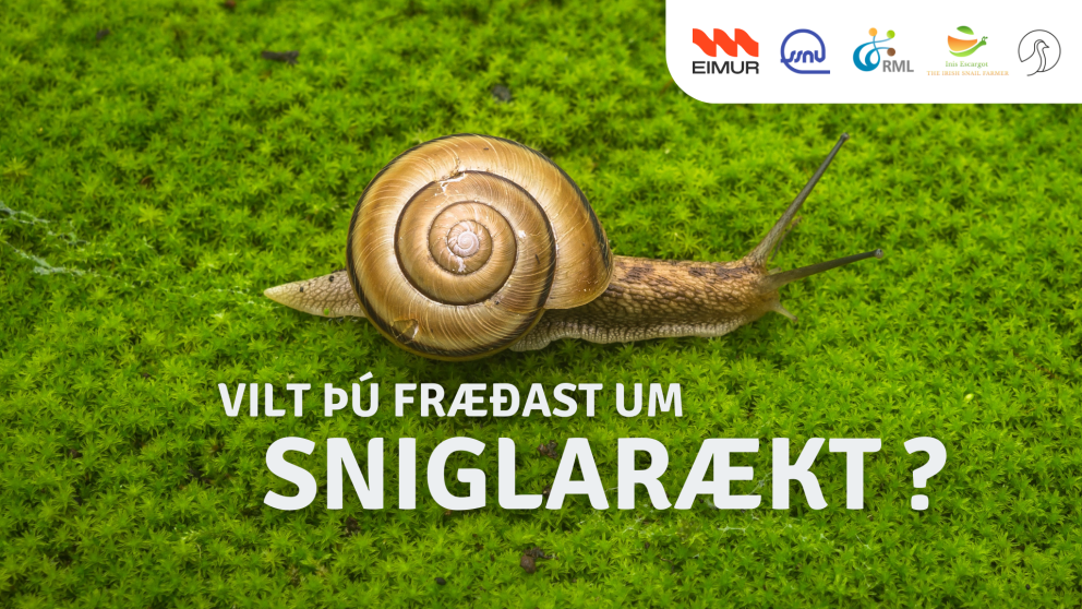 Vilt þú fræðast um sniglarækt? Fræðsluviðburðir á Norðurlandi