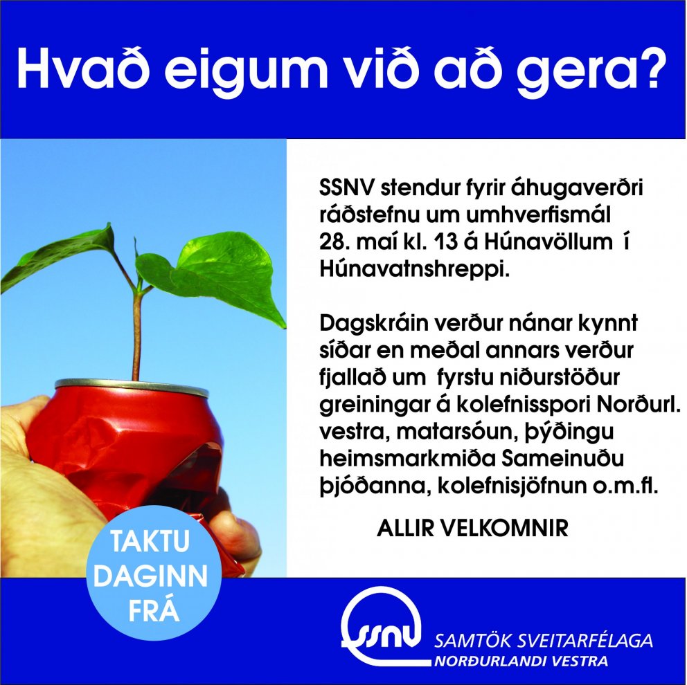 Hvað eigum við að gera?