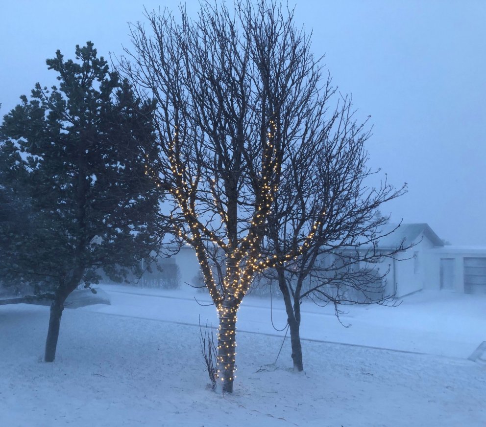 Skrifstofur SSNV lokaðar í dag og á morgun